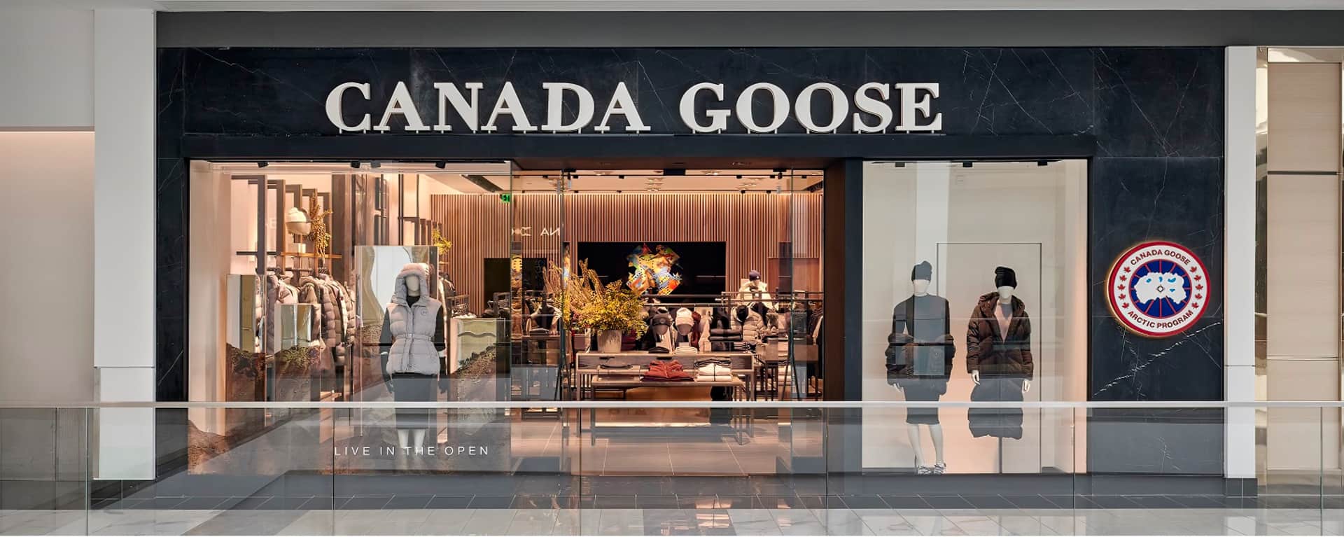 Canada Goose, Pennsylvania - King of Prussia Canada Goose, Pennsylvania - King of Prussia